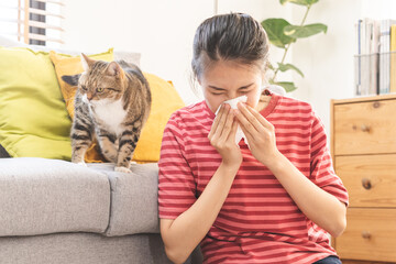 Asian young woman, girl hand in sneezing from fur allergy while playing with her lovely cat, pet on...