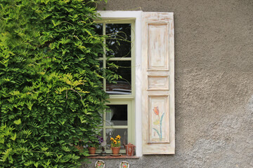Fototapeta na wymiar Fenster mit verziertem Fensterladen und Kletterpflnazen an einem alten Gebäude
