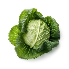 Fototapeta premium Cabbage leaf isolated on white background. Generative AI