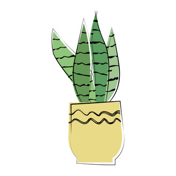 snace plant in a flowerpot in a hand drawn style