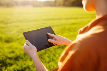 Smart farm. Female farmer uses a specialized app on a digital tablet for checking wheat. Agriculture, gardening or ecology concept.