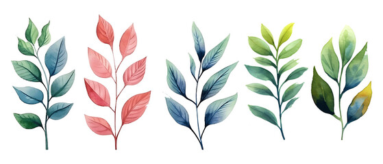 Watercolor leaves set transparent background