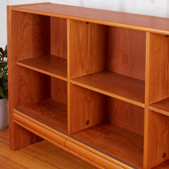 Vintage teak display case bookshelf. Mid-century modern design furniture. Close-up of empty shelves.