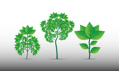 Obraz premium Green tree with green leaves. Beautiful and realistic Tree design with green leafage on a gradient background. Vector.