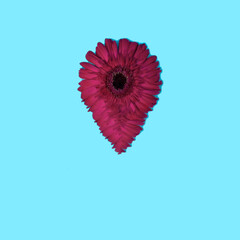 Creative idea flower in the form of a place icon on a blue background. Flat lay.