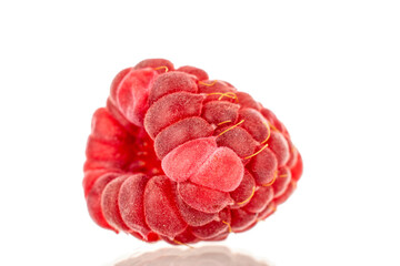 One sweet raspberry berry, macro, isolated on white background.