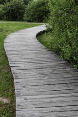 wooden path in the park