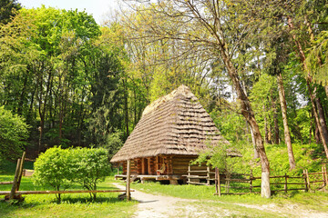 Fototapeta na wymiar Wooden house with a thatched roof in skansen Museum of Folk Architecture and Life 
