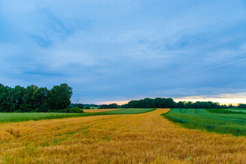 Obraz premium Spontaneous photos in a new place