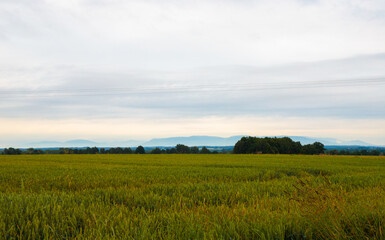 Fototapeta premium Spontaneous photos in a new place