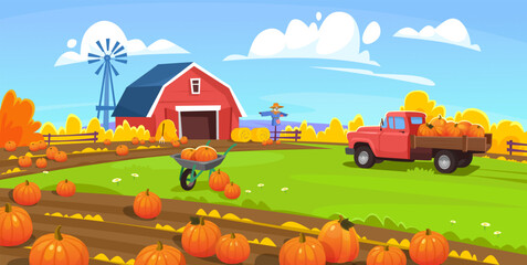 Vector background of the traditional pumpkin patch. Holiday pumpkin picking on a farm with a vintage truck, scarecrow, red barn, fence, and windmill. Landscape view of a field harvest in fall.