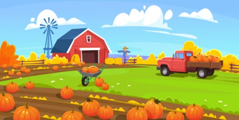 Fotobehang Boerderij Vector background of the traditional pumpkin patch. Holiday pumpkin picking on a farm with a vintage truck, scarecrow, red barn, fence, and windmill. Landscape view of a field harvest in fall.  © Microstocker.Pro