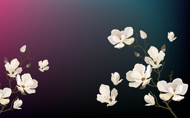 Cherry blossom flower blooming vector. White sakura flower background. Watercolor cherry blossom vector