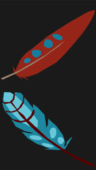 colored feathers on a black background