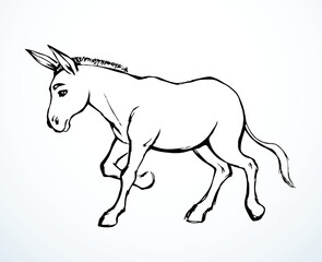 Vector drawing. Cute old mule
