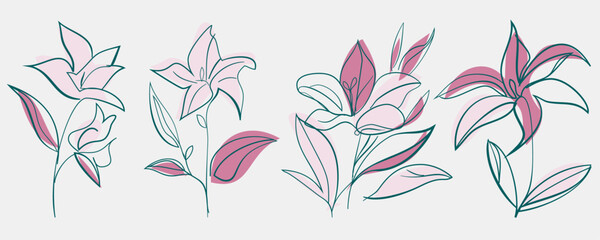 Lily flower Set of hand drawn shapes and doodle design elements. Exotic leaves, flowers plants