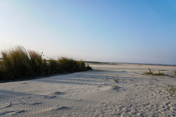 Fototapeta na wymiar A beautiful natural island scene with sand landscape, kans grass and blue sky