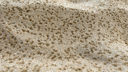 raindrops on the sea sand