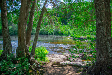 Beautiful  and wild river in the province of Quebec, Canada