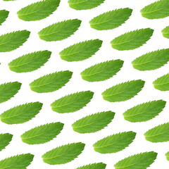 Seamless pattern of green mint leaves