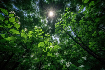 Fototapeta na wymiar A dramatic forest scene with a lush green canopy, illuminated by soft, diffused light, creating a peaceful and serene ambiance in high-definition 8k brilliance