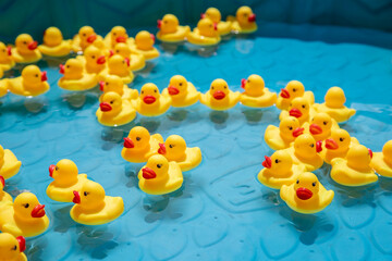 Multiple Rubber Duckies in Baby Pool