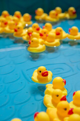 Rubber Duckies in Kiddie Pool