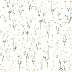 seamless pattern of yellow flower meadow buttercup known as Ranunculus acris, sitfast, spearworts or water crowfoots. Watercolor hand drawn painting illustration isolated on white background
