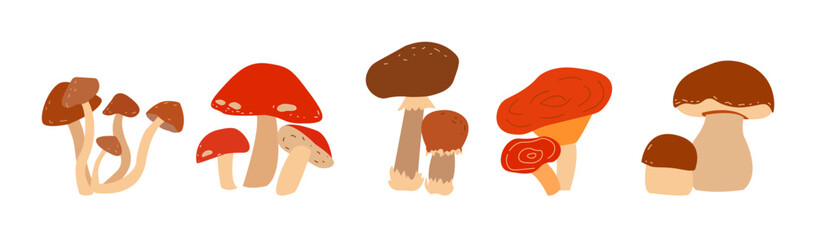 Set with mushrooms on white background. Happy harvest.