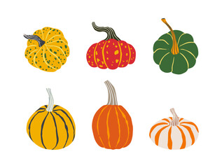 Cute pumpkins of different shapes and colours. Autumn, Thanksgiving, Halloween, harvest element set.