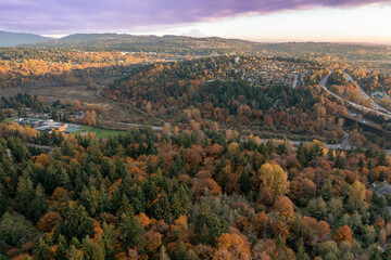 Bellevue Suburbs in the Fall