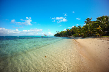 Fototapeta na wymiar South Pacific Paradise