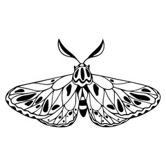Sketch,doodle night moth,butterflies.Vector graphics.