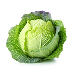 Fototapeta premium cabbage isolated on white background
