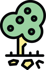 Obraz premium Expedition fruit tree icon. Outline Expedition fruit tree vector icon for web design isolated on white background color flat