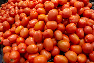 A view of a mound of Roma tomatoes, on display at a local grocery store.