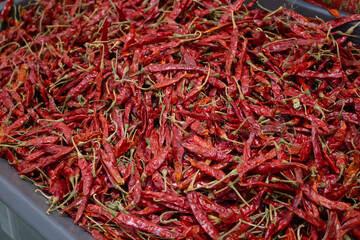 Fototapeta premium A view of a bin full of dry chile de arbol, on display at a local grocery store.