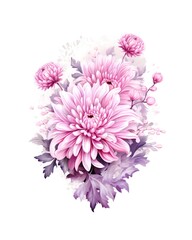 Bouquet of pink chrysanthemums isolated on white background in watercolor style. Generative AI.