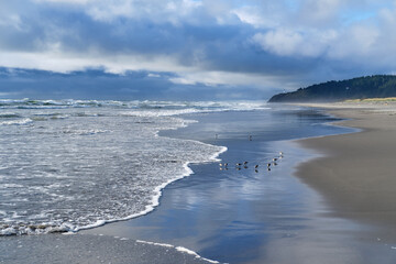 Long beautiful sand beach, blue sky and sea birds with Lighthouse in the background. Pacific coast....