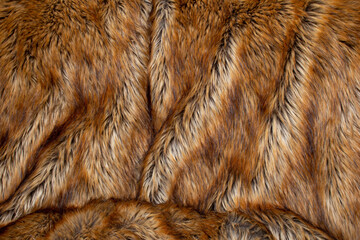 A view of a furry background.