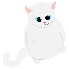 Chubby cat standing 
