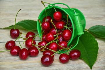 Red cherries in a small green bucket on a wooden background