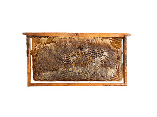 wooden framed natural honey and honeycomb