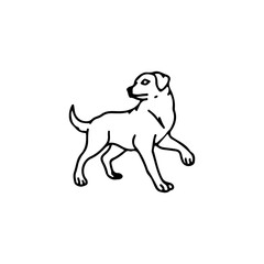 vector illustration of a dog walking