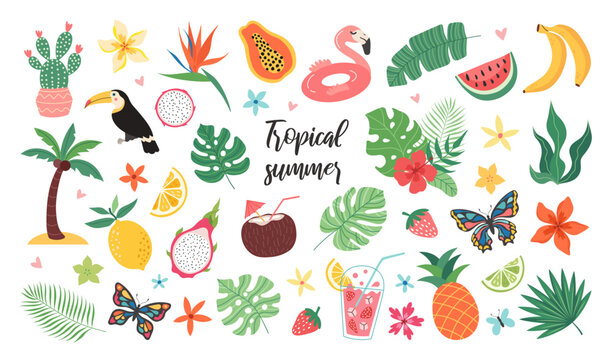 Set of tropical summer stickers. Icons for exotic vacation. Seasonal elements collection. Flamingos, flowers, pineapple, tropic leaves, citrus and exotic fruits, plumeria, watermelon, cocktails.