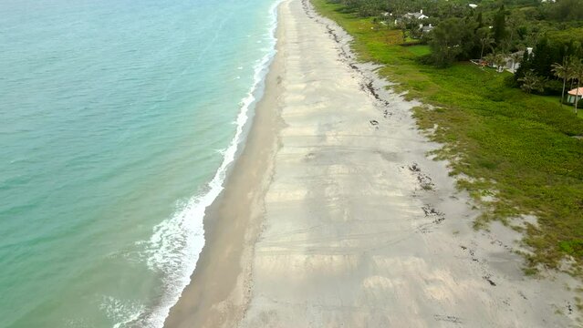Loggerhead turtle tracks on the beach