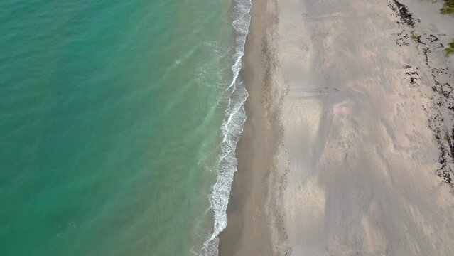 Aerial video Loggerhead Turtle tracks on sand nesting season 2023 Jupiter Island FL