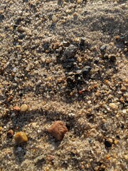 stones on the beach and sand