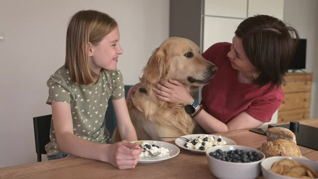 Mother and daughter with golden retriever dog with cottage chease breakfast feeding pet and smiling, Young woman and preteen girl family with purebred doggy eat cream milk desert