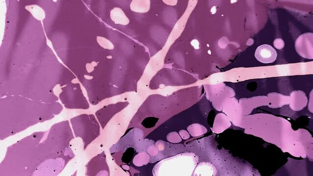 wall art overlay shadow leaf